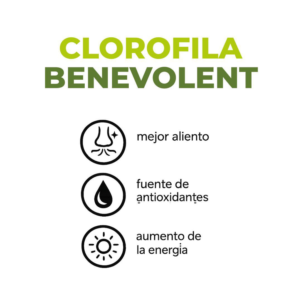 CLOROFILA