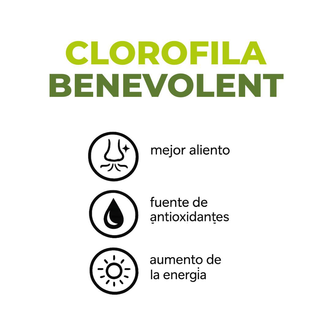 CLOROFILA