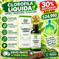 CLOROFILA BENEVOLENT X 60 ML